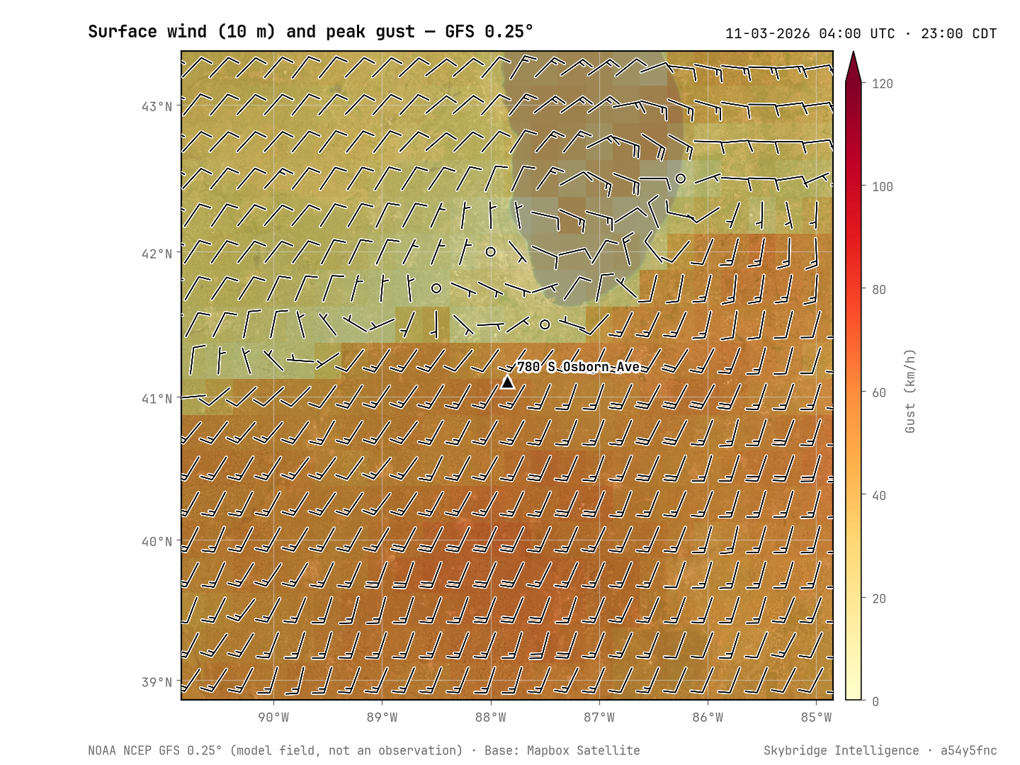 Surface wind — direction and intensity